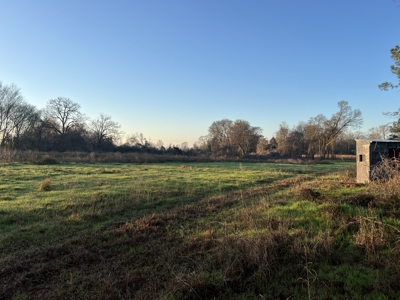 Autauga County | 106 Acre Tract - image 1