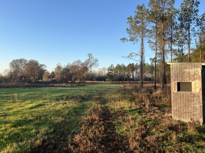 Autauga County | 106 Acre Tract - image 4