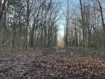 Autauga County | 106 Acre Tract - image 8
