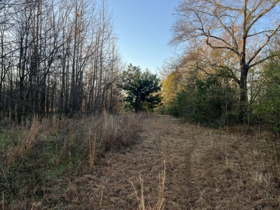 Autauga County | 106 Acre Tract - image 13