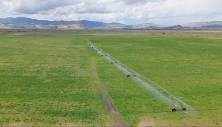 1,280 ± Acre Irrigated Ranch for Sale in CO San Luis Valley - image 34