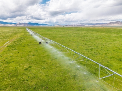 1,280 ± Acre Irrigated Ranch for Sale in CO San Luis Valley - image 3