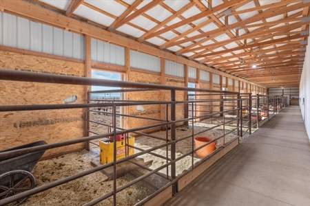 1,280 ± Acre Irrigated Ranch for Sale in CO San Luis Valley - image 13