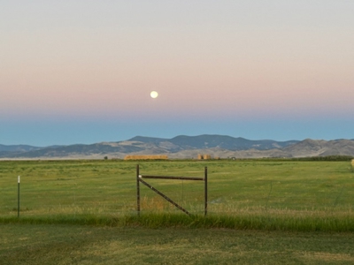 1,280 ± Acre Irrigated Ranch for Sale in CO San Luis Valley - image 40
