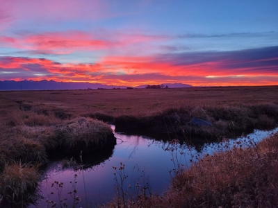 520± Acre San Luis Valley Colorado Ranch for Sale with Home - image 34