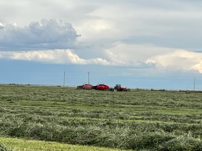 520± Acre San Luis Valley Colorado Ranch for Sale with Home - image 33