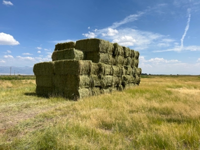 520± Acre San Luis Valley Colorado Ranch for Sale with Home - image 31