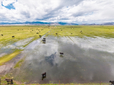 520± Acre San Luis Valley Colorado Ranch for Sale with Home - image 4