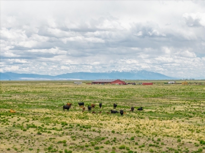 520± Acre San Luis Valley Colorado Ranch for Sale with Home - image 7