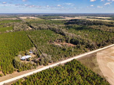 Almost 17 Acres Of Planted Pines In Gilchrist County Florida - image 4