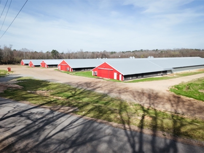 5 House Broiler Farm & Residence For Sale in North LA - image 37