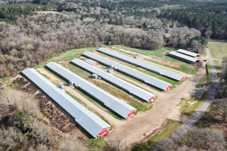 5 House Broiler Farm & Residence For Sale in North LA - image 39