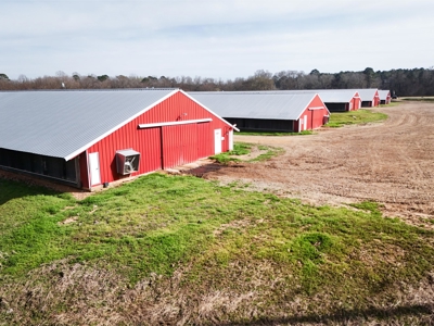 5 House Broiler Farm & Residence For Sale in North LA - image 38