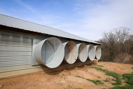 5 House Broiler Farm & Residence For Sale in North LA - image 22