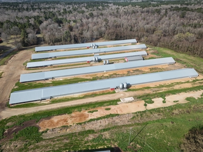 5 House Broiler Farm & Residence For Sale in North LA - image 40