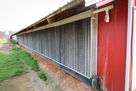 5 House Broiler Farm & Residence For Sale in North LA - image 5