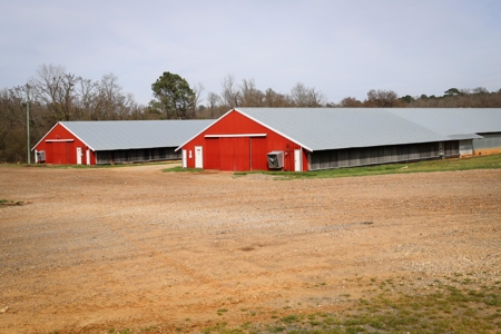 5 House Broiler Farm & Residence For Sale in North LA - image 4