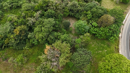 Sea-View Tax-Free ROP Land – Drago, Bocas del Toro, Panama - image 1