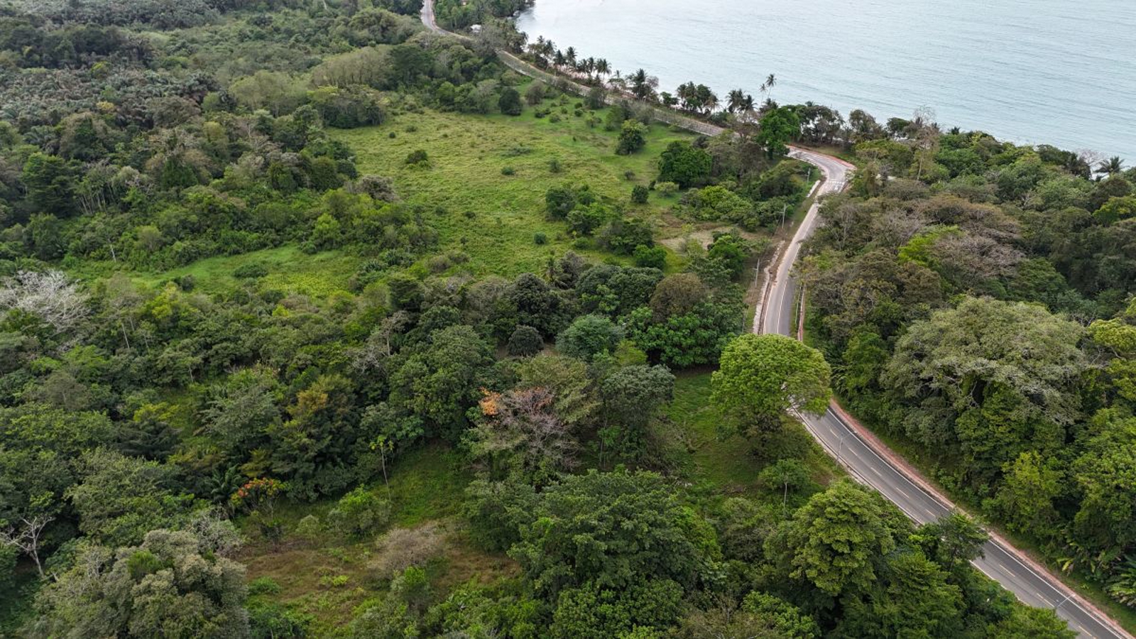 Sea-View ROP Lot, 200 m from Beach — Drago Road, Isla Colón - 2
