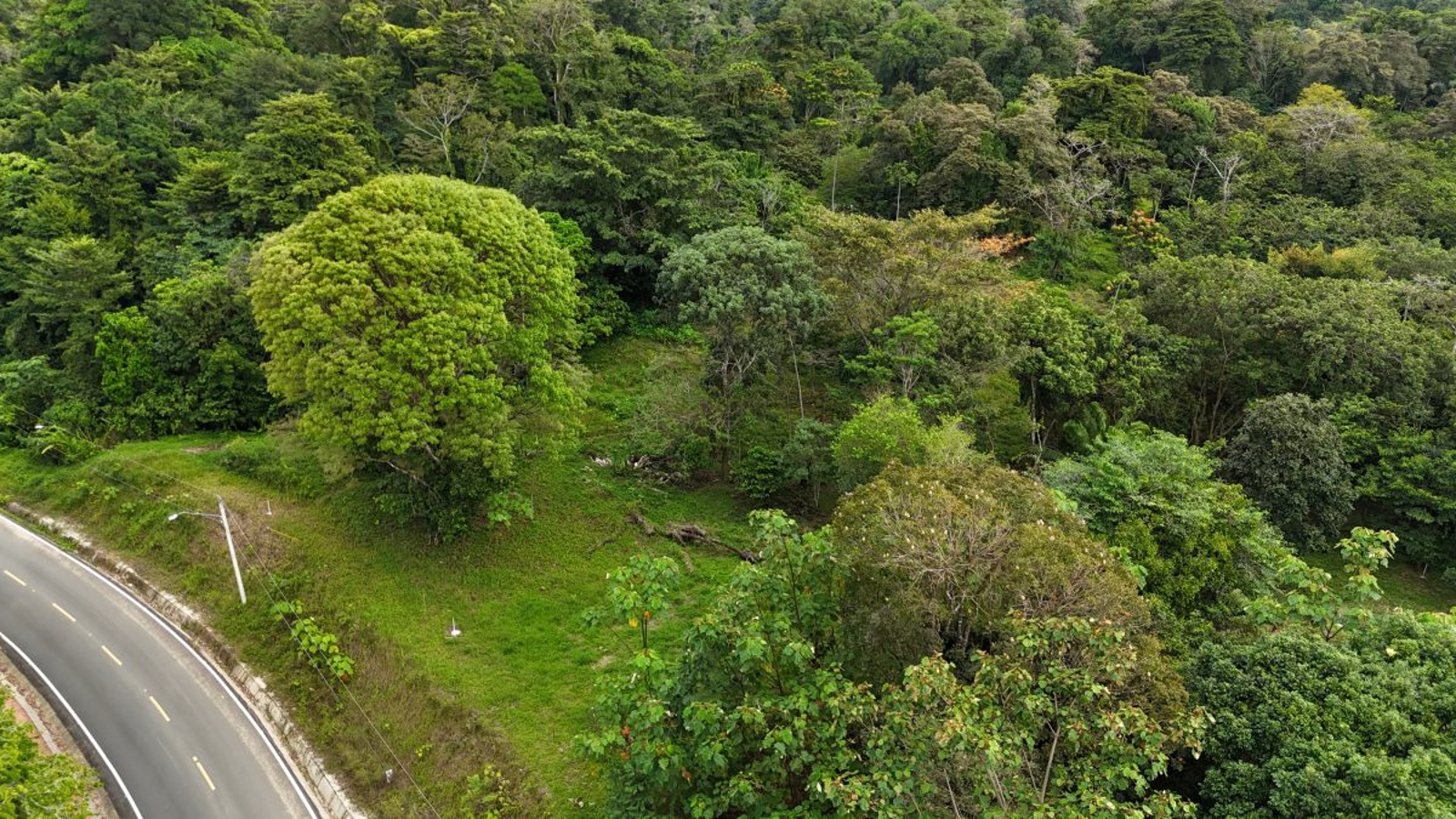 Sea-View ROP Lot, 200 m from Beach — Drago Road, Isla Colón - 13