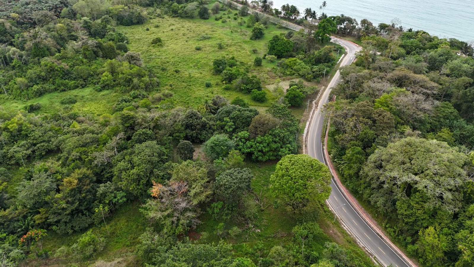Sea-View ROP Lot, 200 m from Beach — Drago Road, Isla Colón - 6