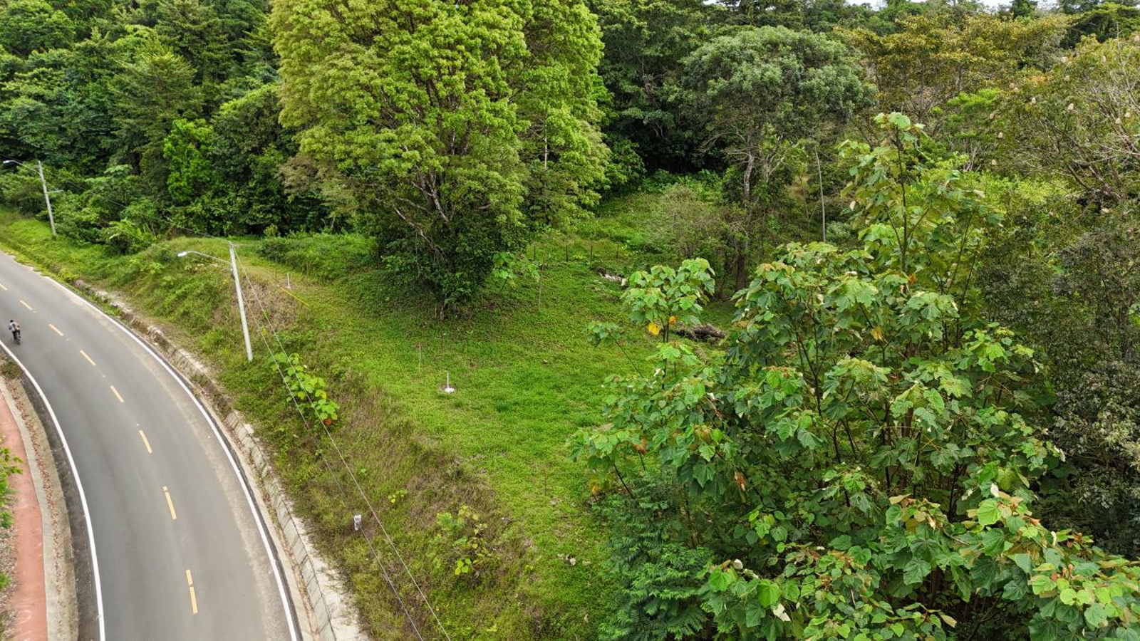 Sea-View ROP Lot, 200 m from Beach — Drago Road, Isla Colón - 12
