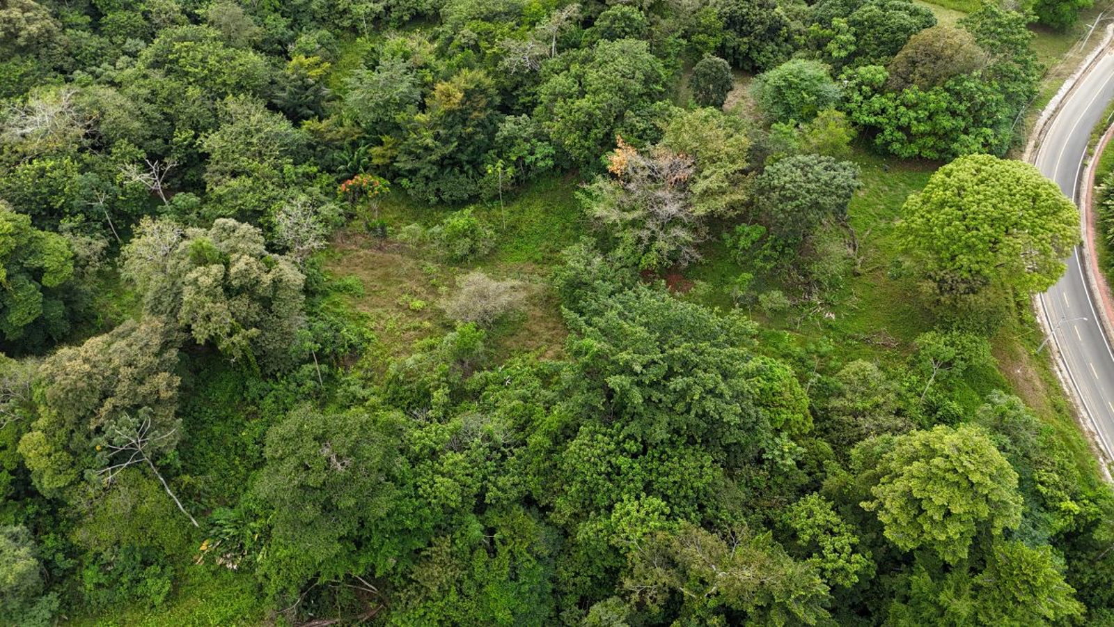 Sea-View ROP Lot, 200 m from Beach — Drago Road, Isla Colón - 9
