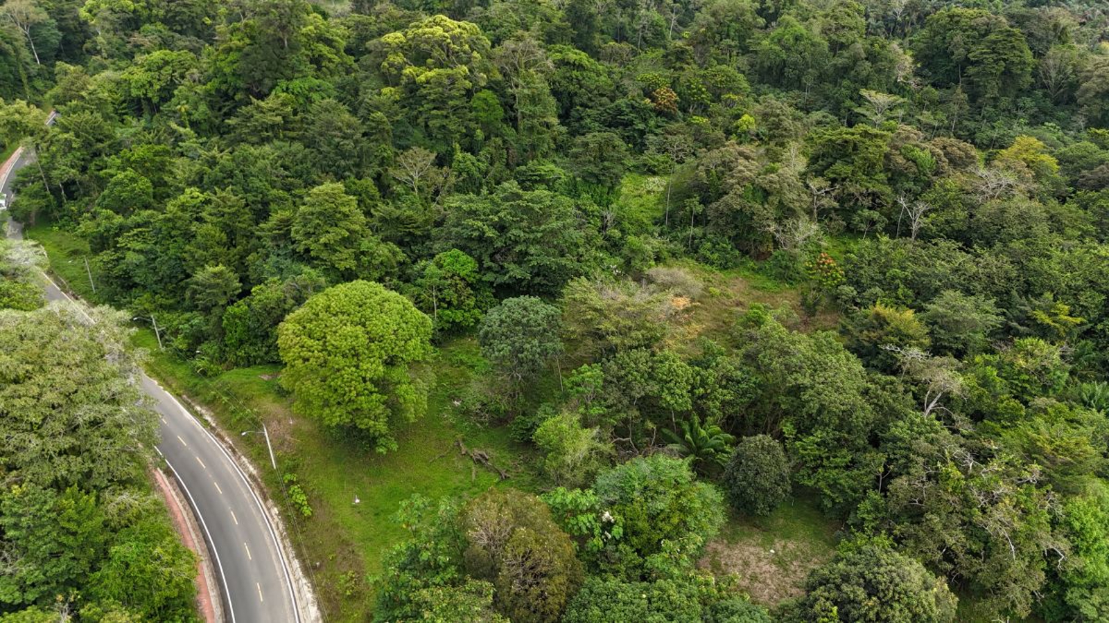 Sea-View ROP Lot, 200 m from Beach — Drago Road, Isla Colón - 4