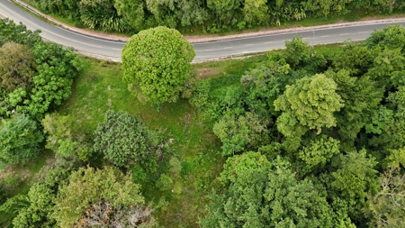 Sea-View Tax-Free ROP Land – Drago, Bocas del Toro, Panama - image 2
