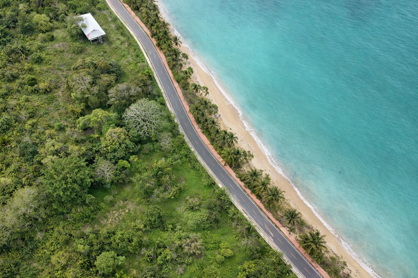 Prime Sunset Sea-View Beachfront Lots — Drago, Isla Colón - 2