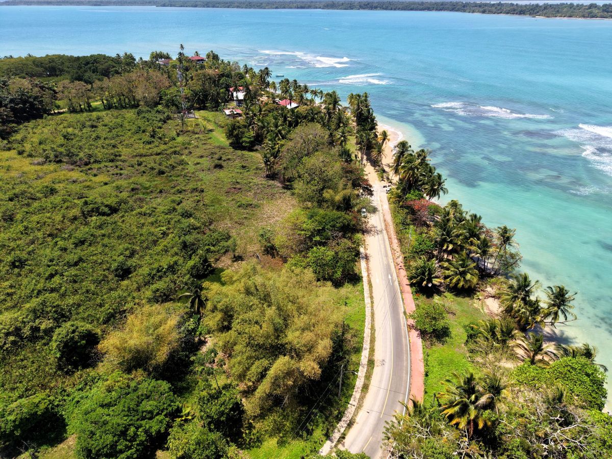 Prime Sunset Sea-View Beachfront Lots — Drago, Isla Colón - 9