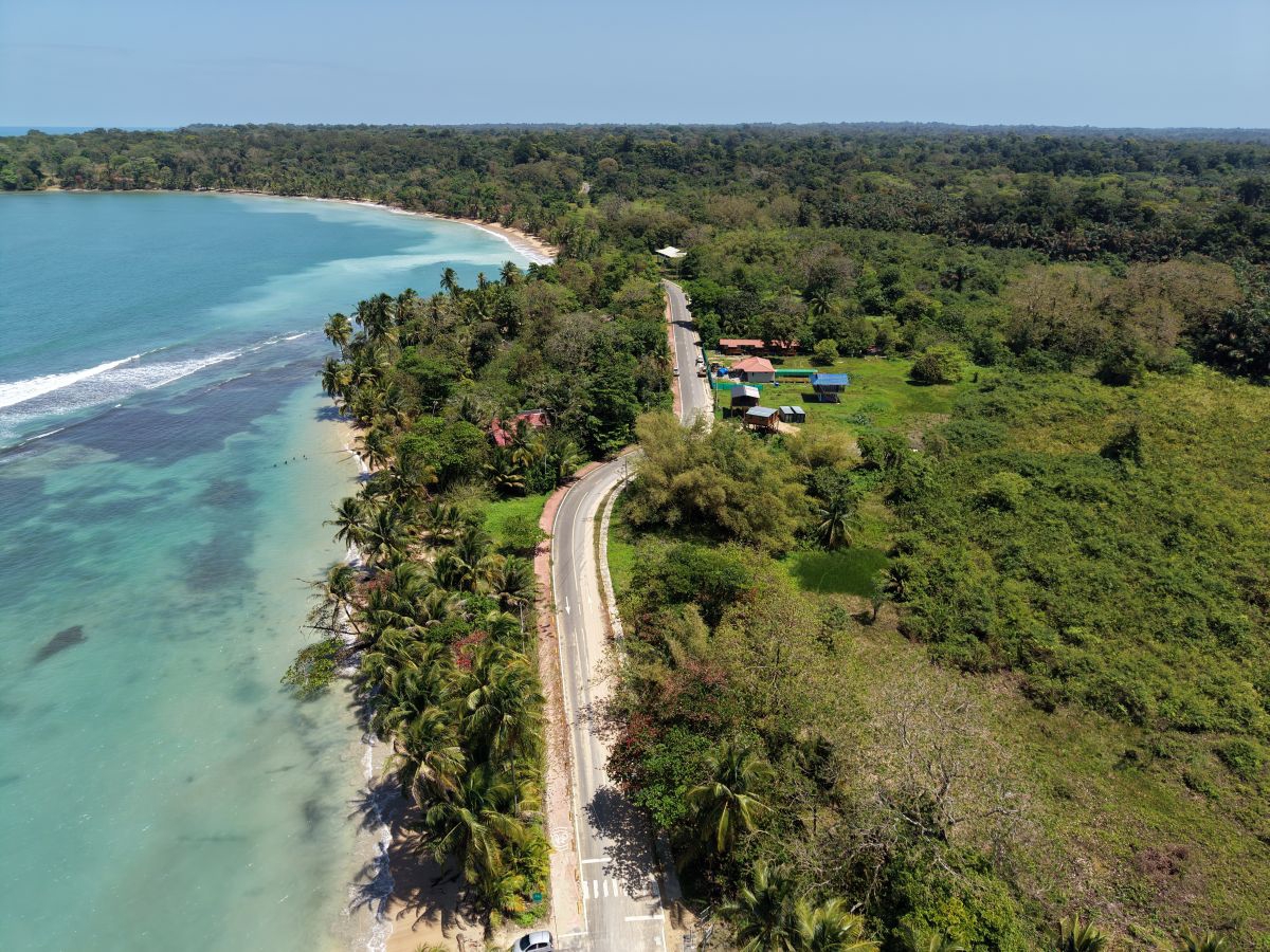 Prime Sunset Sea-View Beachfront Lots — Drago, Isla Colón - 4
