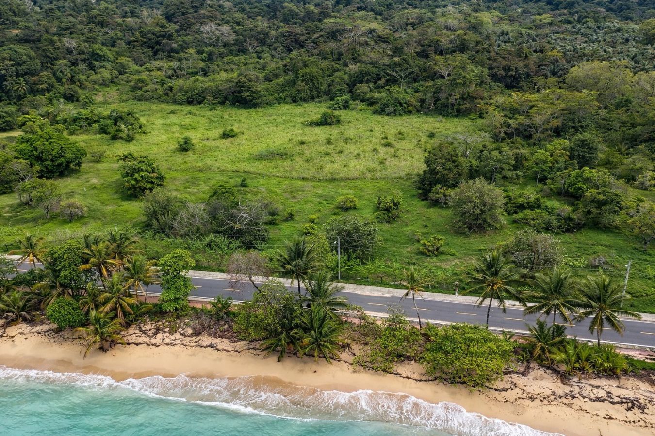 Prime Sunset Sea-View Beachfront Lots — Drago, Isla Colón - 6