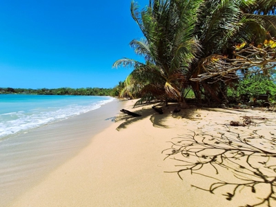 Prime Sunset Sea-View, Beach front – Drago, Boca del Toro - image 5