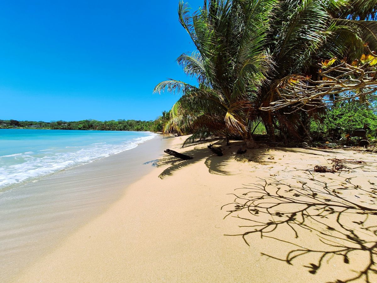 Prime Sunset Sea-View Beachfront Lots — Drago, Isla Colón - 10