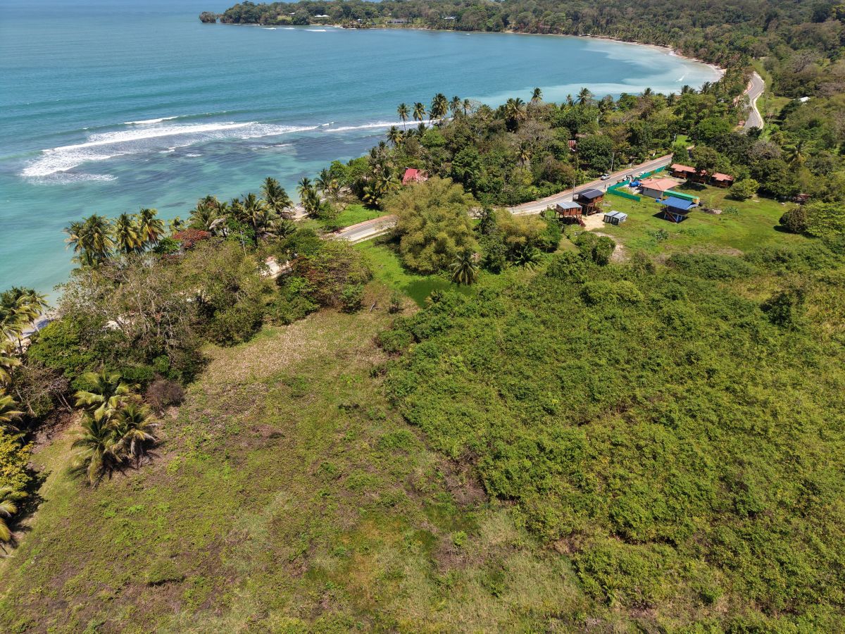 Prime Sunset Sea-View Beachfront Lots — Drago, Isla Colón - 11