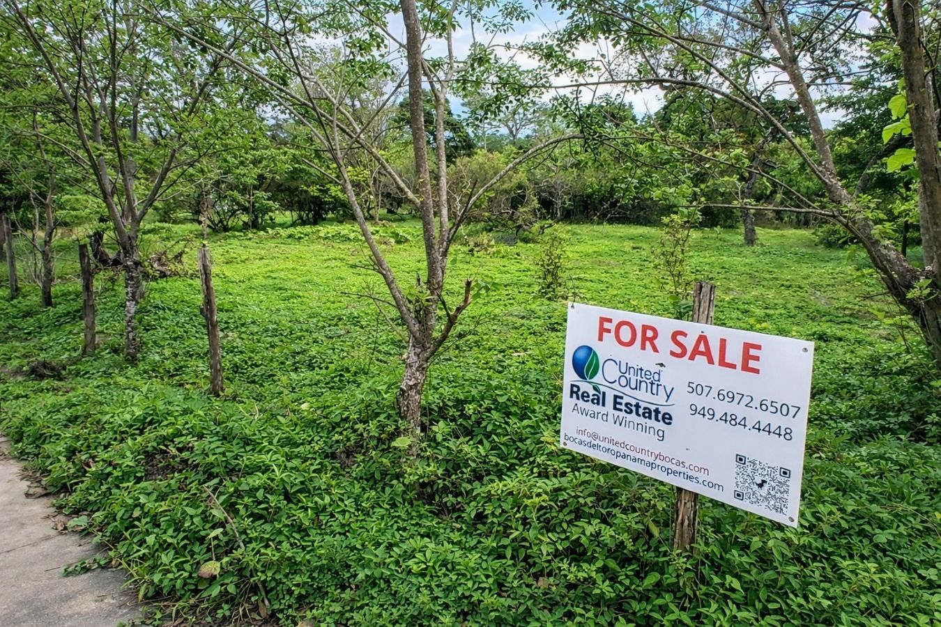 Prime Sunset Sea-View Beachfront Lots — Drago, Isla Colón - 7