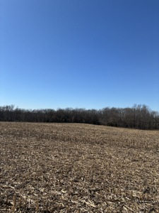 40± Acres Row Crop & Timber | Maysville, MO - image 10