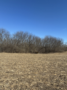 40± Acres Row Crop & Timber | Maysville, MO - image 3