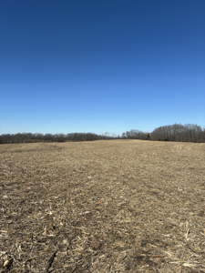 40± Acres Row Crop & Timber | Maysville, MO - image 5
