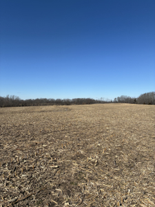 40± Acres Row Crop & Timber | Maysville, MO - image 2