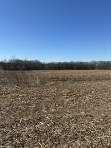 40± Acres Row Crop & Timber | Maysville, MO - image 6
