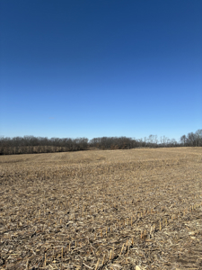 40± Acres Row Crop & Timber | Maysville, MO - image 9