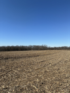 40± Acres Row Crop & Timber | Maysville, MO - image 7