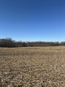 40± Acres Row Crop & Timber | Maysville, MO - image 8