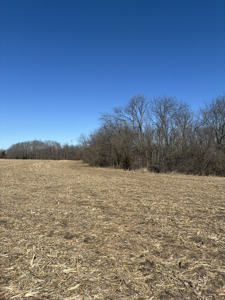40± Acres Row Crop & Timber | Maysville, MO - image 4