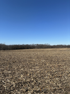 40± Acres Row Crop & Timber | Maysville, MO - image 1