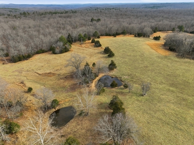 Beautiful Secluded South Central Missouri Ozarks Ranch - image 42