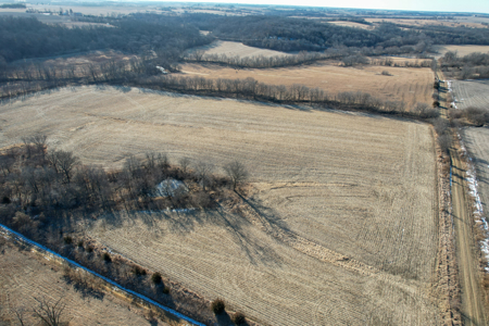 High Tillable Row Crop Investment Near the Mahaska County Line - image 3