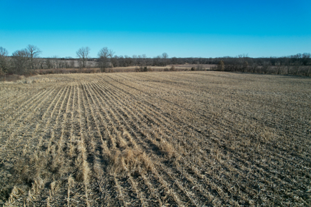 High Tillable Row Crop Investment Near the Mahaska County Line - image 4